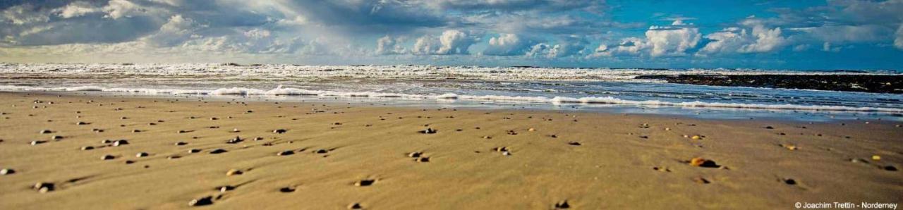 Villa Rosenhof Norderney Εξωτερικό φωτογραφία