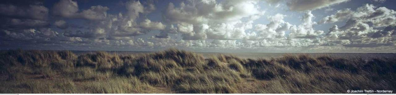 Villa Rosenhof Norderney Εξωτερικό φωτογραφία